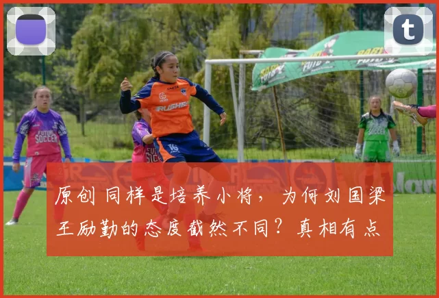 原创 同样是培养小将，为何刘国梁王励勤的态度截然不同？真相有点扎心