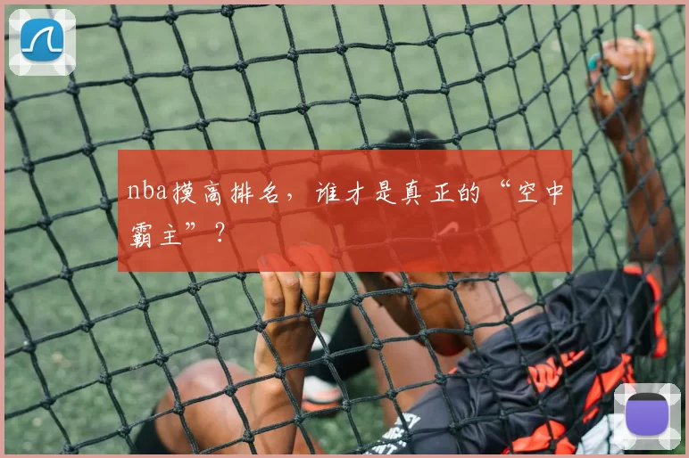 nba摸高排名,谁才是真正的“空中霸主”?