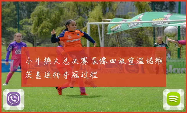 小牛热火总决赛录像回放重温诺维茨基逆转夺冠过程