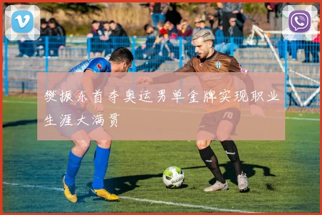 樊振东首夺奥运男单金牌实现职业生涯大满贯